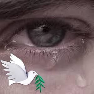 Meet your Posher, Abdilahi